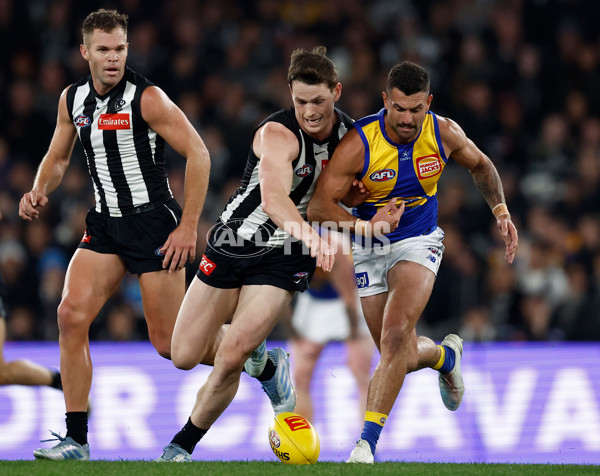 AFL 2025 Round 16 - Collingwood v West Coast - A-60262073