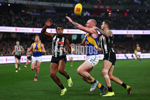 AFL 2025 Round 16 - Collingwood v West Coast - A-60262095