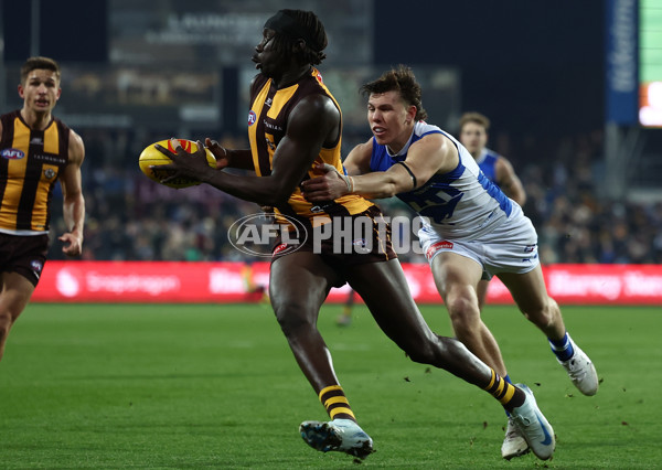 AFL 2025 Round 16 - Hawthorn v North Melbourne - A-60262102