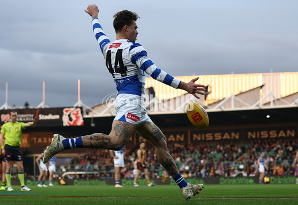 AFL 2025 Round 16 - Hawthorn v North Melbourne - A-60262121