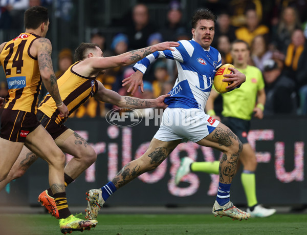 AFL 2025 Round 16 - Hawthorn v North Melbourne - A-60262124