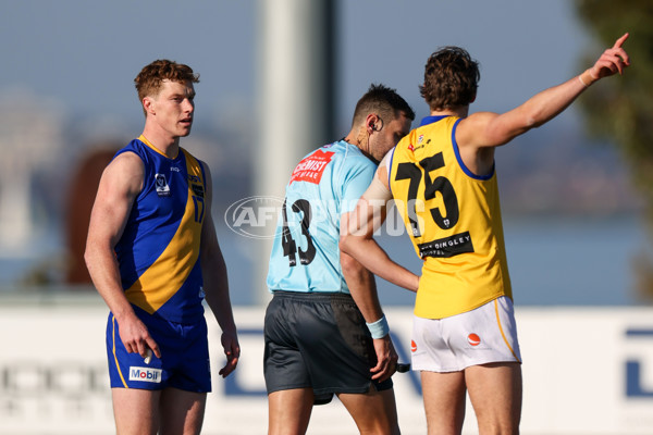 VFL 2025 Round 14 - Williamstown v Sandringham - A-60262153