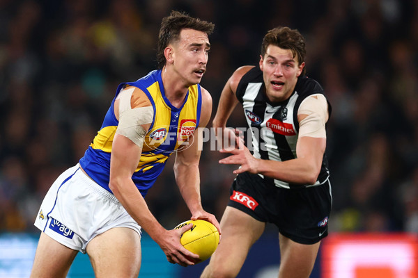 AFL 2025 Round 16 - Collingwood v West Coast - A-60264510