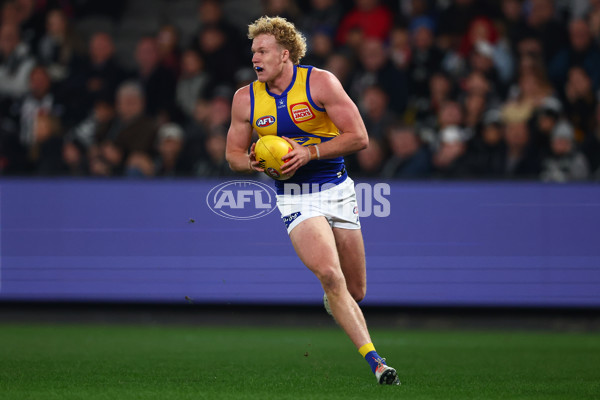 AFL 2025 Round 16 - Collingwood v West Coast - A-60264515