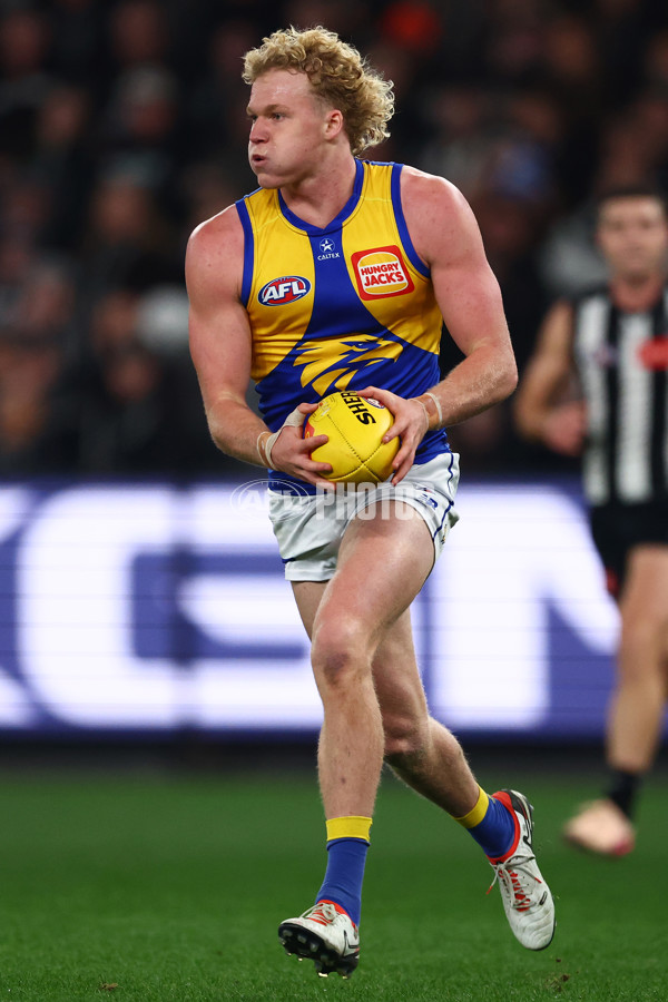 AFL 2025 Round 16 - Collingwood v West Coast - A-60264516