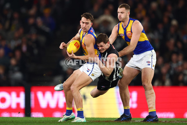AFL 2025 Round 16 - Collingwood v West Coast - A-60264526