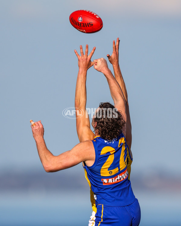 VFL 2025 Round 14 - Williamstown v Sandringham - A-60264529