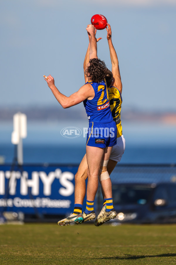 VFL 2025 Round 14 - Williamstown v Sandringham - A-60264531