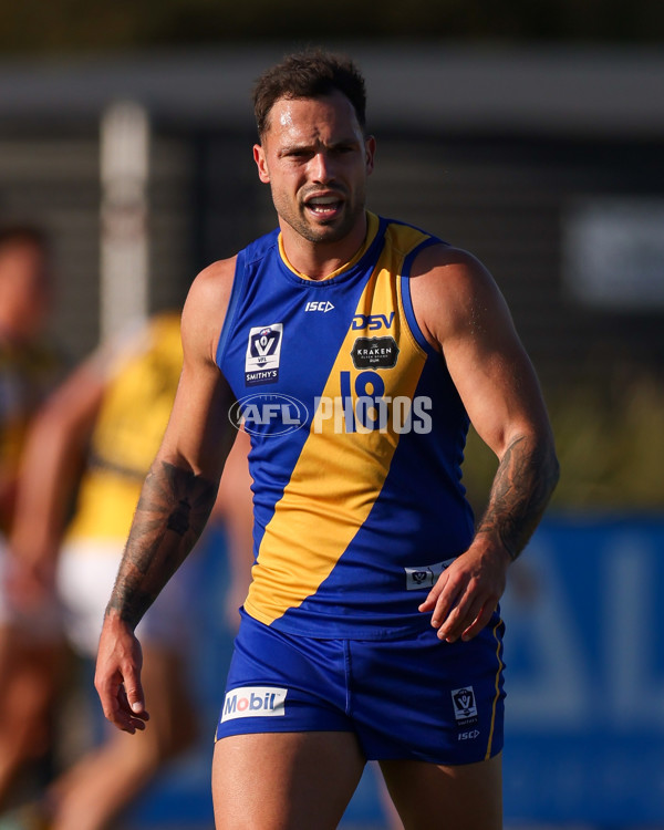 VFL 2025 Round 14 - Williamstown v Sandringham - A-60264534