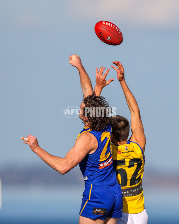 VFL 2025 Round 14 - Williamstown v Sandringham - A-60264538