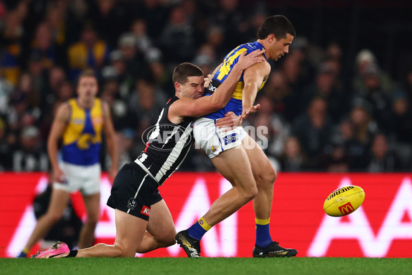 AFL 2025 Round 16 - Collingwood v West Coast - A-60264548