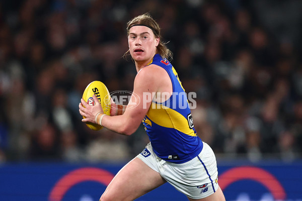 AFL 2025 Round 16 - Collingwood v West Coast - A-60264563