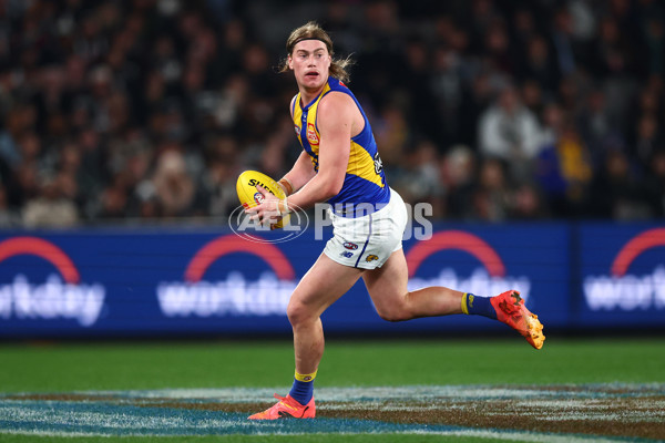 AFL 2025 Round 16 - Collingwood v West Coast - A-60264564