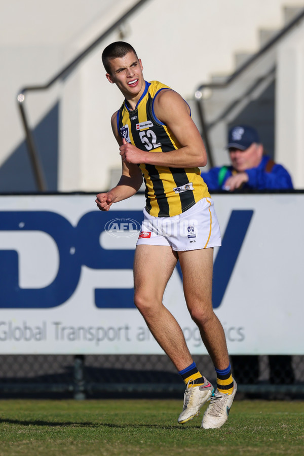 VFL 2025 Round 14 - Williamstown v Sandringham - A-60264567