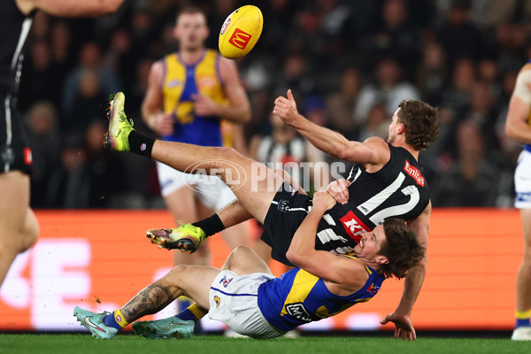 AFL 2025 Round 16 - Collingwood v West Coast - A-60264590
