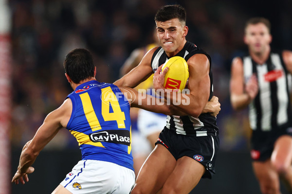 AFL 2025 Round 16 - Collingwood v West Coast - A-60264597