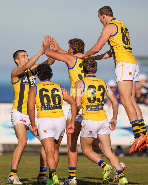 VFL 2025 Round 14 - Williamstown v Sandringham - A-60264611