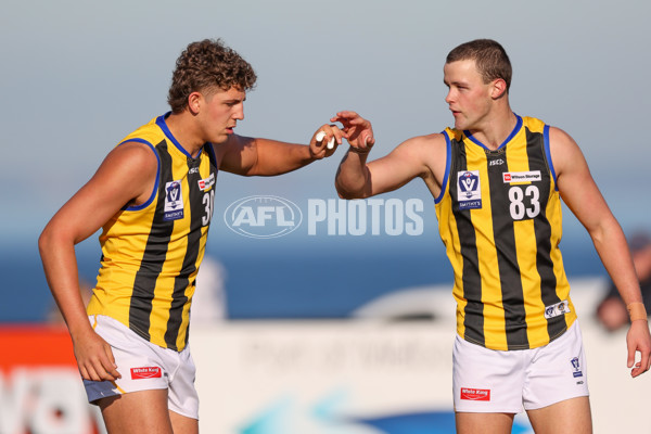 VFL 2025 Round 14 - Williamstown v Sandringham - A-60264614