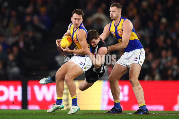 AFL 2025 Round 16 - Collingwood v West Coast - A-60264628
