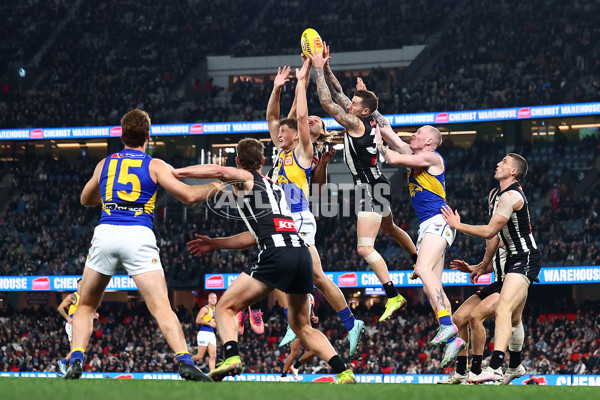 AFL 2025 Round 16 - Collingwood v West Coast - A-60264636