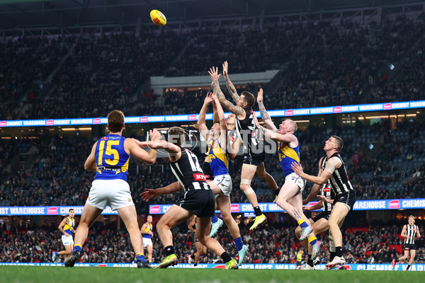 AFL 2025 Round 16 - Collingwood v West Coast - A-60264637
