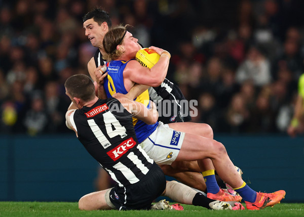 AFL 2025 Round 16 - Collingwood v West Coast - A-60264658
