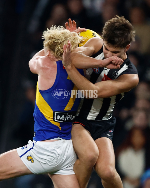 AFL 2025 Round 16 - Collingwood v West Coast - A-60267009