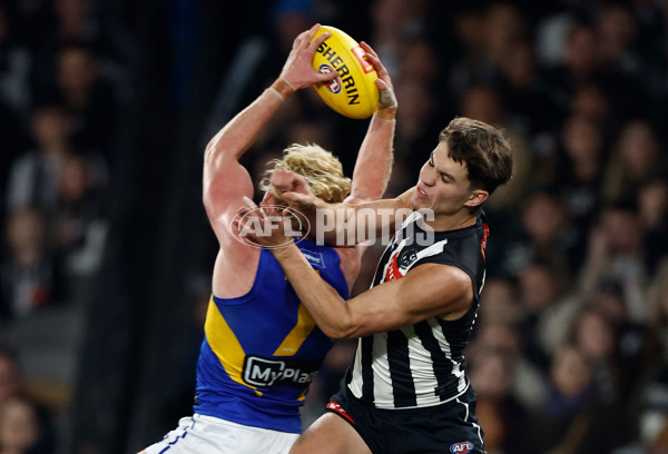 AFL 2025 Round 16 - Collingwood v West Coast - A-60267010