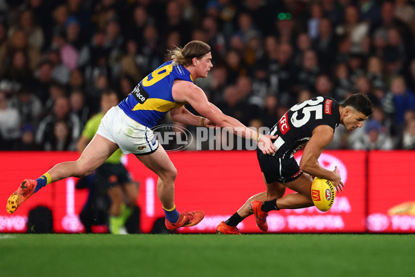AFL 2025 Round 16 - Collingwood v West Coast - A-60267013