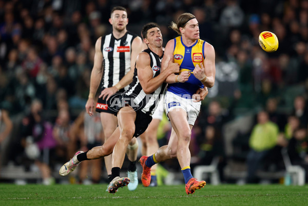AFL 2025 Round 16 - Collingwood v West Coast - A-60267019
