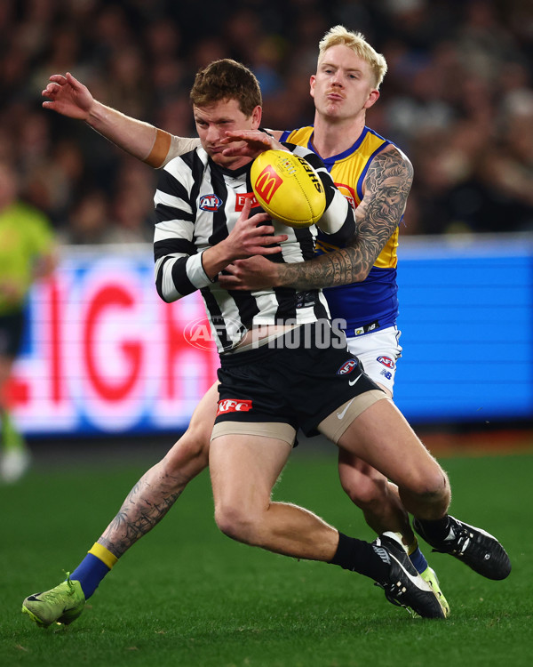 AFL 2025 Round 16 - Collingwood v West Coast - A-60267026