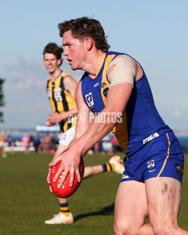 VFL 2025 Round 14 - Williamstown v Sandringham - A-60267031