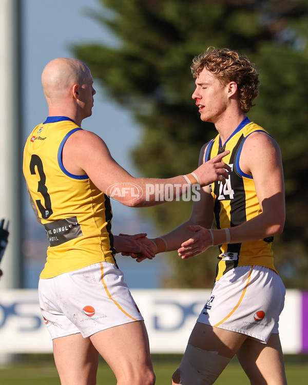 VFL 2025 Round 14 - Williamstown v Sandringham - A-60267034