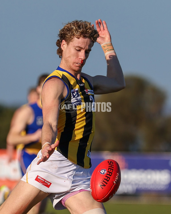 VFL 2025 Round 14 - Williamstown v Sandringham - A-60267036