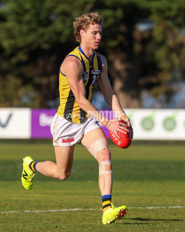 VFL 2025 Round 14 - Williamstown v Sandringham - A-60267039