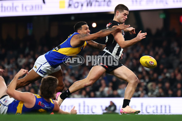 AFL 2025 Round 16 - Collingwood v West Coast - A-60267056