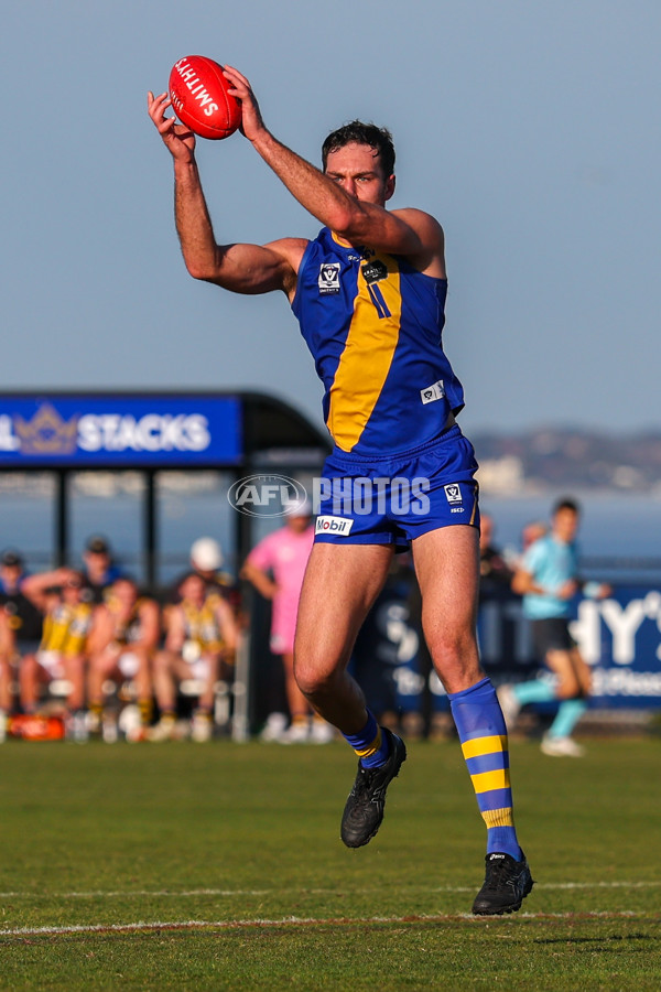 VFL 2025 Round 14 - Williamstown v Sandringham - A-60267068