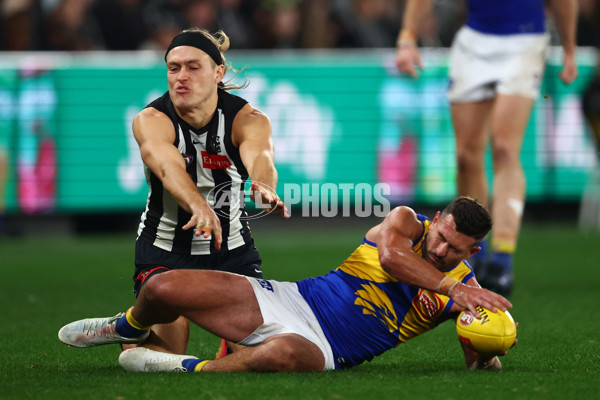 AFL 2025 Round 16 - Collingwood v West Coast - A-60267090