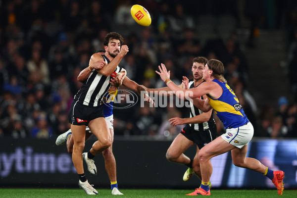 AFL 2025 Round 16 - Collingwood v West Coast - A-60267101