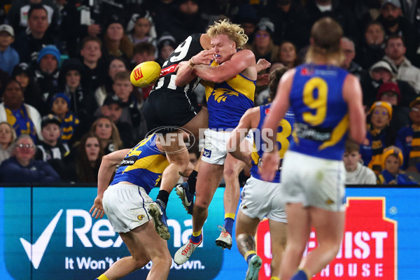 AFL 2025 Round 16 - Collingwood v West Coast - A-60267513
