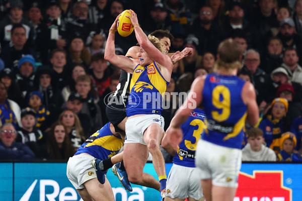 AFL 2025 Round 16 - Collingwood v West Coast - A-60267514