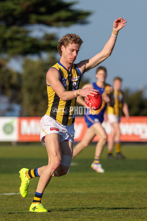 VFL 2025 Round 14 - Williamstown v Sandringham - A-60267516