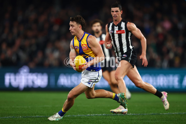 AFL 2025 Round 16 - Collingwood v West Coast - A-60267549