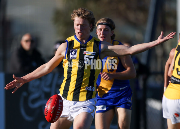 VFL 2025 Round 14 - Williamstown v Sandringham - A-60267552