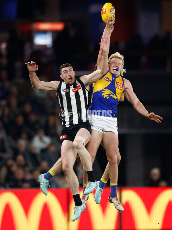 AFL 2025 Round 16 - Collingwood v West Coast - A-60267568