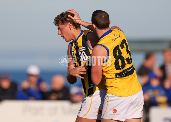 VFL 2025 Round 14 - Williamstown v Sandringham - A-60267598