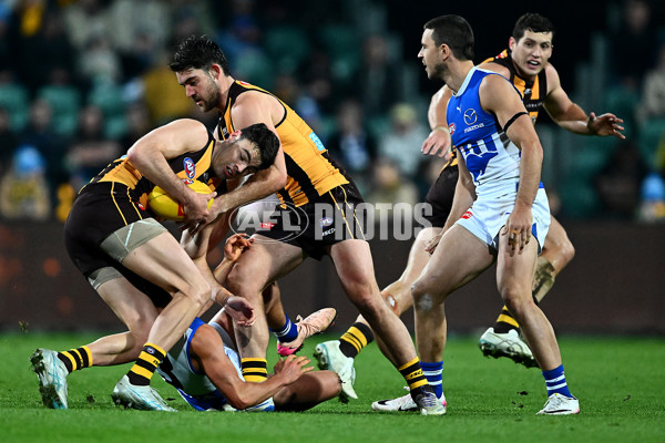 AFL 2025 Round 16 - Hawthorn v North Melbourne - A-60269487