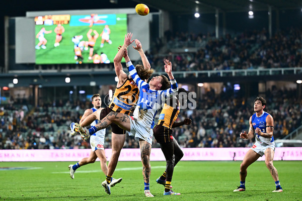 AFL 2025 Round 16 - Hawthorn v North Melbourne - A-60269491