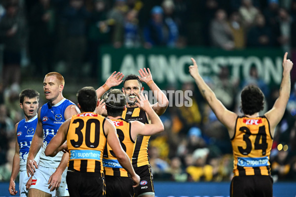 AFL 2025 Round 16 - Hawthorn v North Melbourne - A-60269498