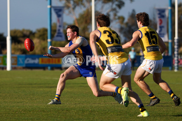 VFL 2025 Round 14 - Williamstown v Sandringham - A-60269522
